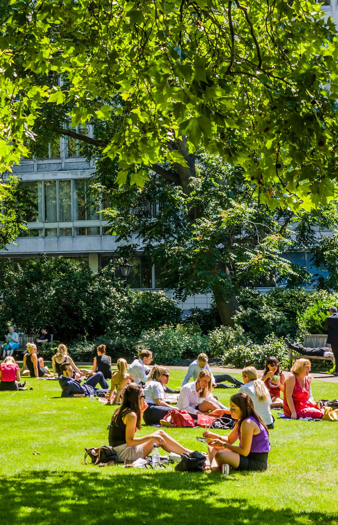 People sitting on a lawn in groups